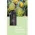 AKSO Havana Flavor Pod - Mango Pineapple Watermelon