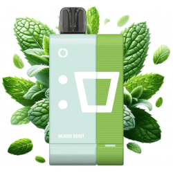Elf Bar EW 9000 Kit - Miami Mint (5%)