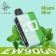 Elf Bar EW 9000 Kit - Miami Mint (5%)