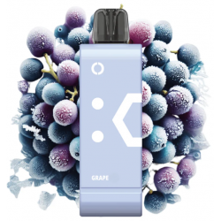 Elf Bar EW 9000 Flavor Pod - Grape (5%)
