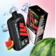 Nasty Max 30k - Watermelon Ice