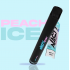 Nasty Fix 2 800 - Peach Ice
