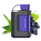 Vozol Gear 7k - Aloe Grape