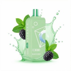 Elf Bar 16K Pods – Black Mint