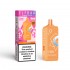 Elf Bar 16K Pods – Mango Peach Watermelon