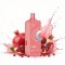Elf Bar 16K Pods – Pomegranate Blast