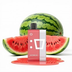 Elf Bar EW 9000 Kit - Watermelon (5%)