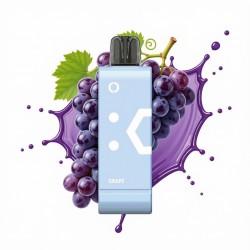 Elf Bar EW 9000 Flavor Pod - Grape (5%)