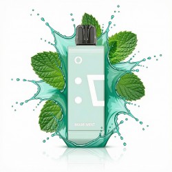 Elf Bar EW 9000 Flavor Pod - Miami Mint (5%)