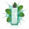 Elf Bar EW 9000 Flavor Pod - Miami Mint (5%)
