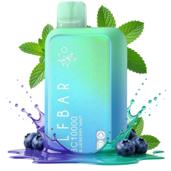 Elf Bar BC10000 - Blueberry Mint