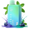 Elf Bar BC10000 - Blueberry Mint