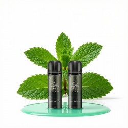 Elf Bar Master Kit Pod 2K - Miami Mint