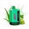 Nasty Bar 9,000 puff (50mg) - Aloe Grape